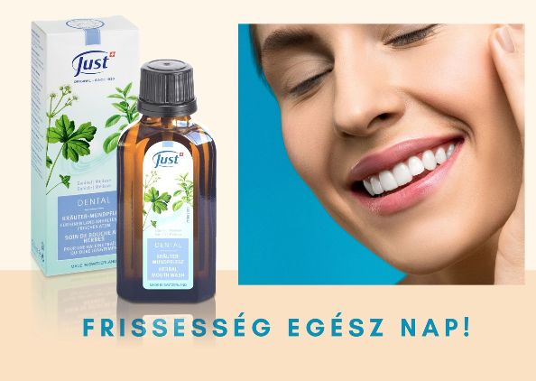 A FRISS LEHELETÉRT